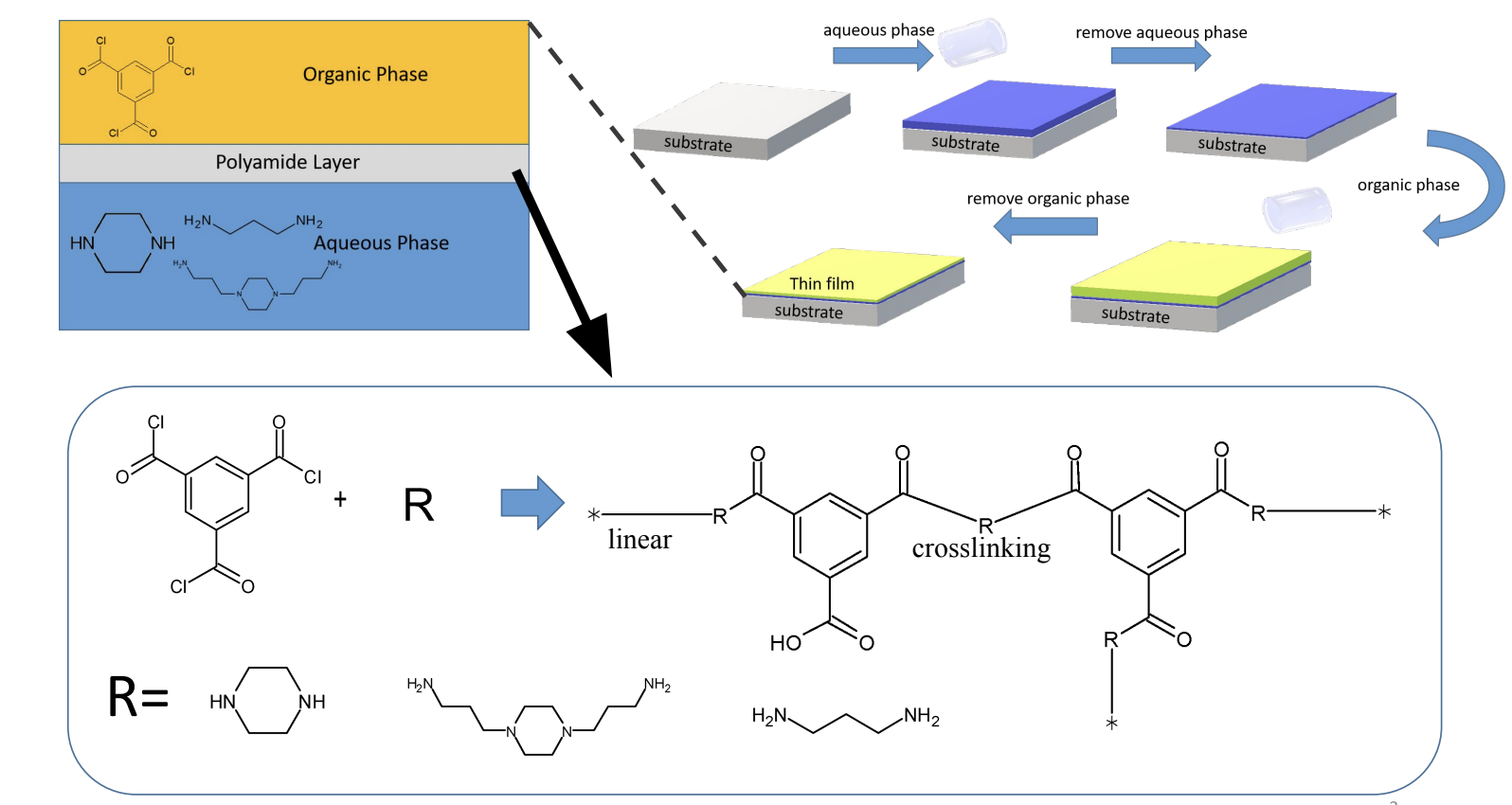 Thin-Film Composite (TFC) Membrane for High Performance Waste Water Treatment 